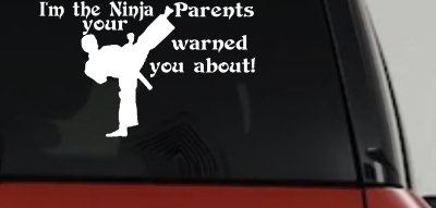 Im The Ninja Your Parents Warned You About Funny Car or Truck Window Vinyl Decal Sticker