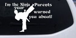 Im The Ninja Your Parents Warned You About Funny Car or Truck Window Decal Sticker