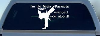 Im The Ninja Your Parents Warned You About Funny Car or Truck Window Decal Sticker