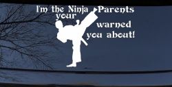 Im The Ninja Your Parents Warned You About Funny Car or Truck Window Decal Sticker