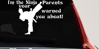 Im The Ninja Your Parents Warned You About Funny Car or Truck Window Vinyl Decal Sticker