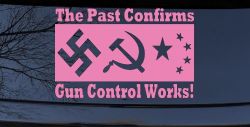 Gun Control Works Anti Gun Control 2nd Amendment Car or Truck Window Decal Sticker (Pink)
