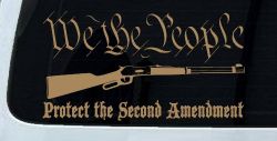 We The People Protect The Second Amendment Anti Gun Control Hunting Car or Truck Window Vinyl Decal Sticker (Light Brown)