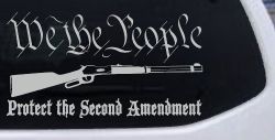 We The People Protect The Second Amendment Anti Gun Control Hunting Car or Truck Window Decal Sticker (Light Gray)