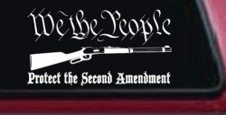 We The People Protect The Second Amendment Anti Gun Control Hunting Car or Truck Window Decal Sticker