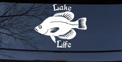 Lake Life Crappie Fishing Car or Truck Window Decal Sticker