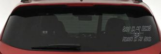 Salt In My Bones Pirate In My Soul Funny Car or Truck Window Decal Sticker (Telegrey)