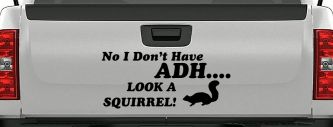Ni I don't Have ADHD Look A Squirrel Funny Car or Truck Window Decal Sticker (Black)