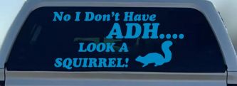 Ni I don't Have ADHD Look A Squirrel Funny Car or Truck Window Decal Sticker (Blue)