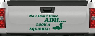 Ni I don't Have ADHD Look A Squirrel Funny Car or Truck Window Vinyl Decal Sticker (Dark Green)