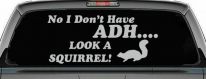 Ni I don't Have ADHD Look A Squirrel Funny Car or Truck Window Decal Sticker (Light Gray)