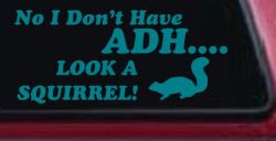 Ni I don't Have ADHD Look A Squirrel Funny Car or Truck Window Decal Sticker (Turquoise Blue)