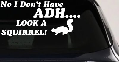 Ni I don't Have ADHD Look A Squirrel Funny Car or Truck Window Vinyl Decal Sticker