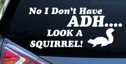 Ni I don't Have ADHD Look A Squirrel Funny Car or Truck Window Decal Sticker