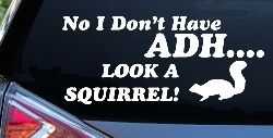 Ni I don't Have ADHD Look A Squirrel Funny Car or Truck Window Decal Sticker