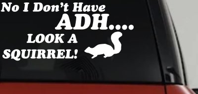 Ni I don't Have ADHD Look A Squirrel Funny Car or Truck Window Vinyl Decal Sticker