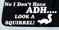 Ni I don't Have ADHD Look A Squirrel Funny Car or Truck Window Decal Sticker
