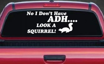 Ni I don't Have ADHD Look A Squirrel Funny Car or Truck Window Decal Sticker