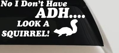 Ni I don't Have ADHD Look A Squirrel Funny Car or Truck Window Vinyl Decal Sticker