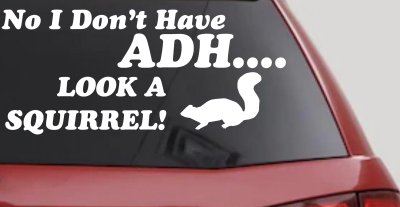 Ni I don't Have ADHD Look A Squirrel Funny Car or Truck Window Vinyl Decal Sticker
