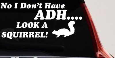 Ni I don't Have ADHD Look A Squirrel Funny Car or Truck Window Vinyl Decal Sticker