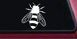 Honey Bee Car or Truck Window Decal Sticker