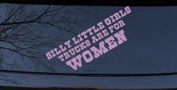 Silly Little Girls Trucks Are For Women Car or Truck Window Vinyl Decal Sticker (Lilac)