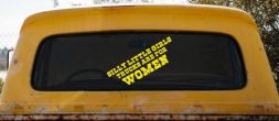 Silly Little Girls Trucks Are For Women Car or Truck Window Vinyl Decal Sticker (Yellow)
