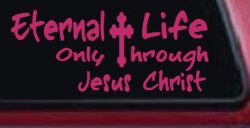 Eternal Life Only Through Jesus Christ Christian Car or Truck Window Vinyl Decal Sticker (Hot Pink)