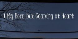City Born But Country At Heart Car or Truck Window Decal Sticker