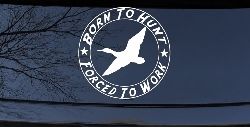 Born To Hunt Forced To Work Duck Hunting Car or Truck Window Decal Sticker
