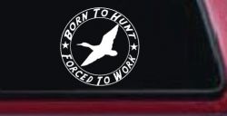 Born To Hunt Forced To Work Duck Hunting Car or Truck Window Decal Sticker
