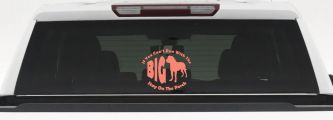 If You Can't Run With The Big Dog Stay on The Porch Off Road Car or Truck Window Decal Sticker (Coral)