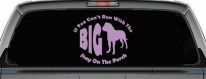 If You Can't Run With The Big Dog Stay on The Porch Off Road Car or Truck Window Decal Sticker (Lilac)