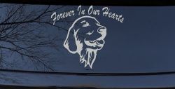 Forever In Our Hearts Golden Retriever Dog Car or Truck Window Vinyl Decal Sticker (Light Gray)