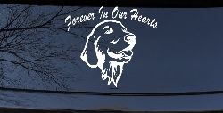 Forever In Our Hearts Golden Retriever Dog Car or Truck Window Decal Sticker