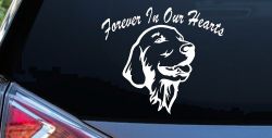 Forever In Our Hearts Golden Retriever Dog Car or Truck Window Decal Sticker