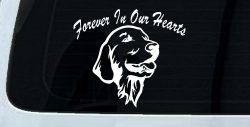 Forever In Our Hearts Golden Retriever Dog Car or Truck Window Decal Sticker