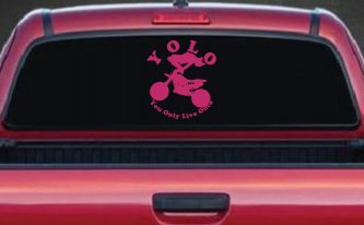 YOLO You Only Live Once Dirt Bike Trick Car or Truck Window Decal Sticker (Hot Pink)