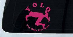 YOLO You Only Live Once Skateboard Car or Truck Window Decal Sticker (Hot Pink)