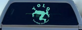 YOLO You Only Live Once Skateboard Car or Truck Window Decal Sticker (Mint)