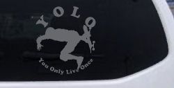 YOLO You Only Live Once Skateboard Car or Truck Window Decal Sticker (Silver)
