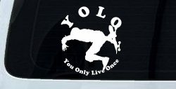YOLO You Only Live Once Skateboard Car or Truck Window Decal Sticker