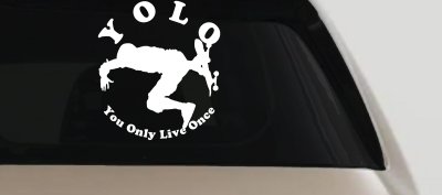 YOLO You Only Live Once Skateboard Car or Truck Window Vinyl Decal Sticker