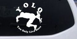 YOLO You Only Live Once Skateboard Car or Truck Window Decal Sticker