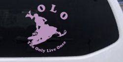 YOLO You Only Live Once Snowmobile Sports Car or Truck Window Decal Sticker (Lilac)