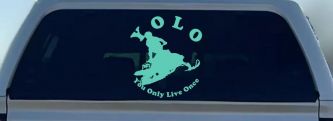 YOLO You Only Live Once Snowmobile Sports Car or Truck Window Vinyl Decal Sticker (Mint)