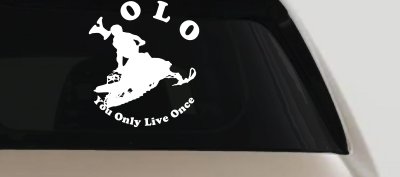 YOLO You Only Live Once Snowmobile Sports Car or Truck Window Vinyl Decal Sticker
