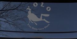 YOLO You Only Live Once Skuba Diving Sports Car or Truck Window Decal Sticker (Silver)
