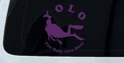 YOLO You Only Live Once Skuba Diving Sports Car or Truck Window Decal Sticker (Violet)